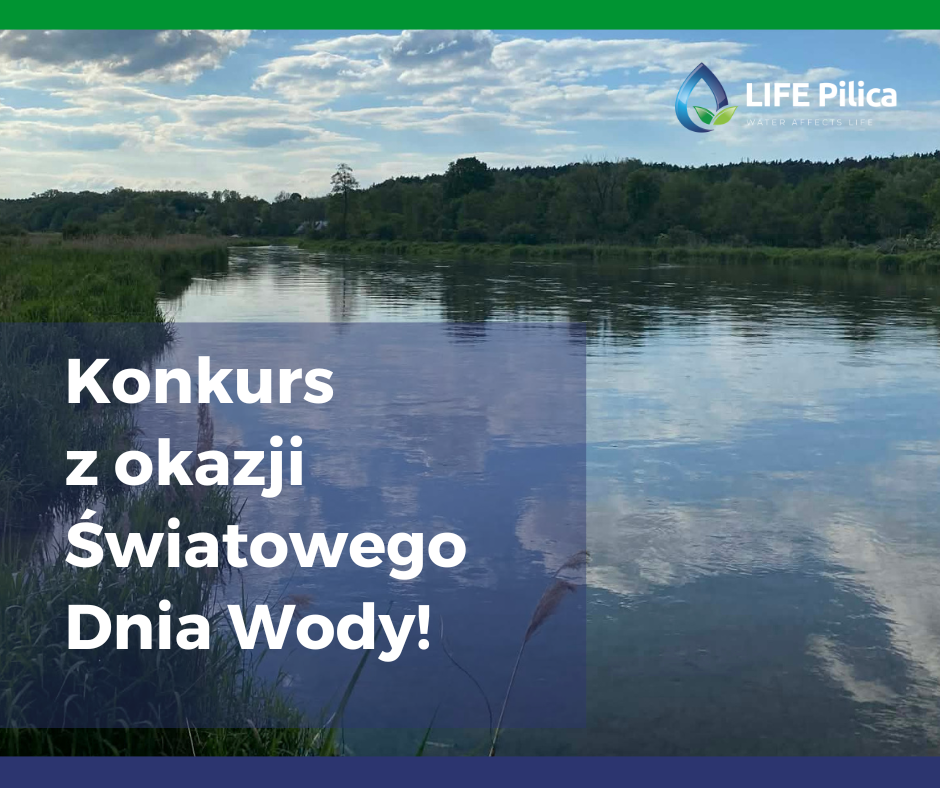 Biornorodno-wd-powierzchniowych--dlaczego-jest-tak-wana-2